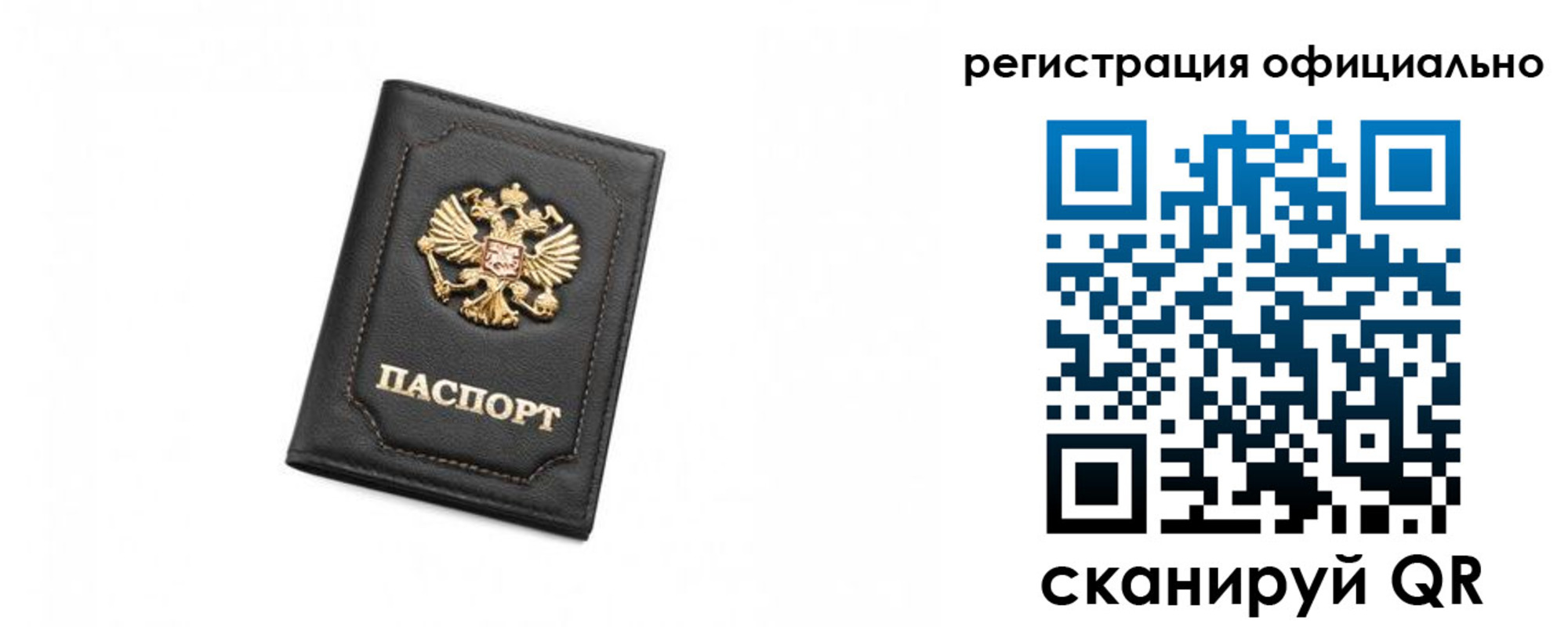 временная регистрация поиск в Светлогорске
