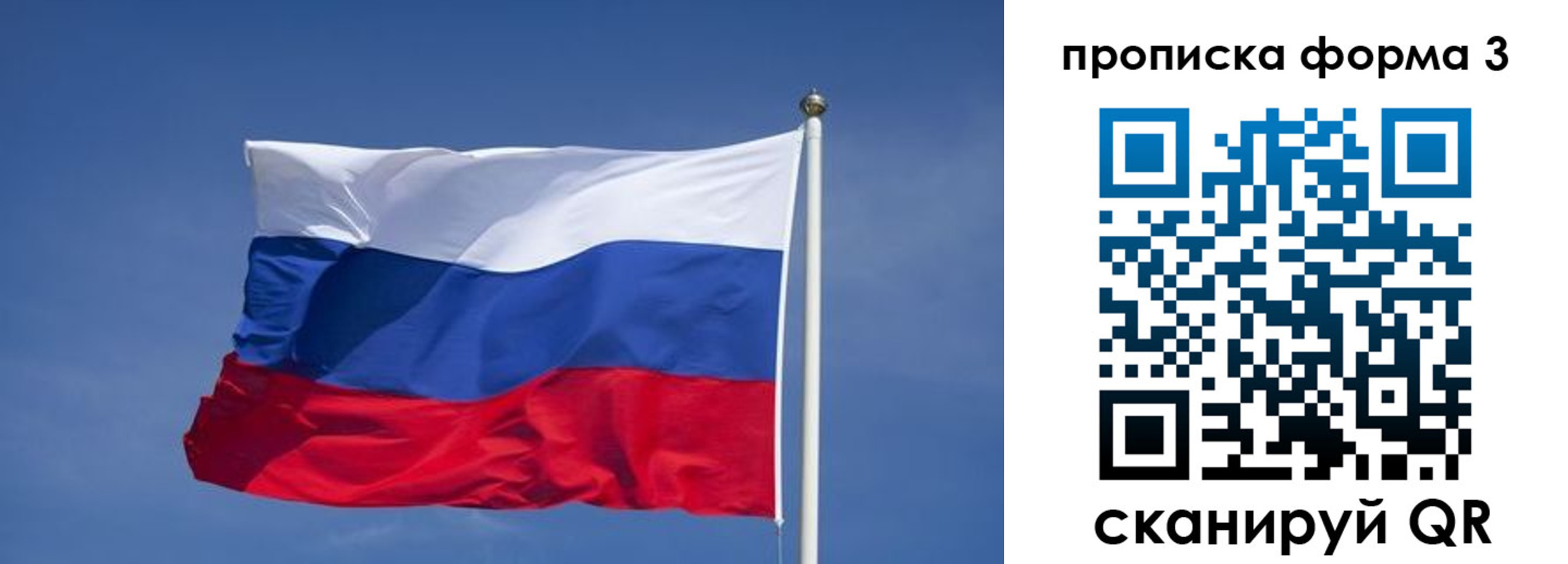 прописка 2025 в Светлогорске